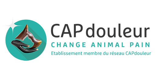 Membre du réseau Cap Douleur