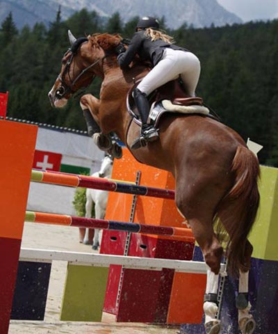 Indiqué chez le cheval de sport de façon préventive ou curative.